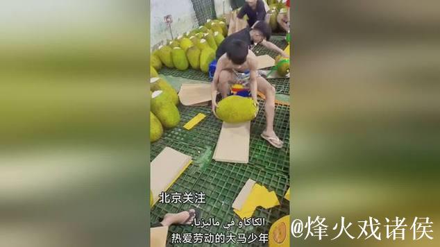 菠萝蜜直播视频解析与精彩瞬间 菠萝蜜直播视频解析与精彩瞬间