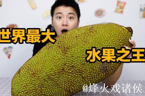 菠萝蜜直播视频解析与精彩瞬间 菠萝蜜直播视频解析与精彩瞬间